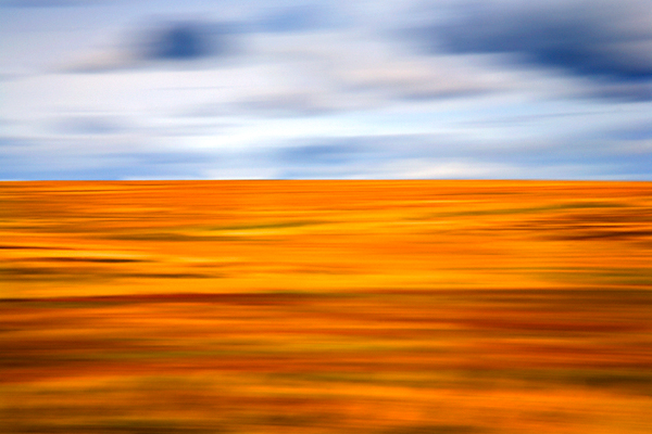 Blubberhouses Moor, Summer