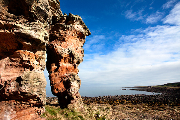 Buddo Rock on the Fife Coastal Path near Boarhills