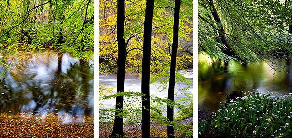 Yorkshire Seasons Cards