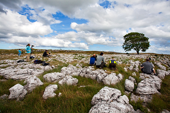 Photographing at the Lone Tree on the August Malham workshop