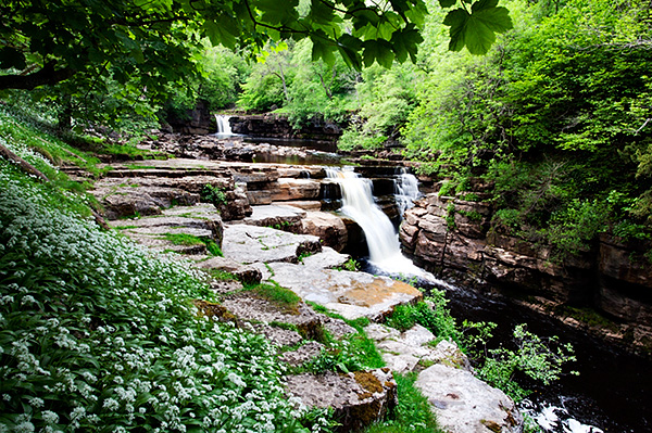 Shot of Kisdon Force near Keld also used in the book