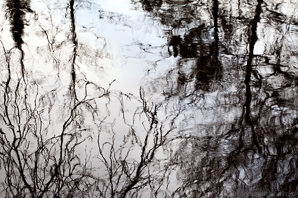 Winter Trees Reflected in a River