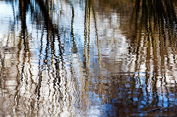 Riverside Tree Reflections and Ripples