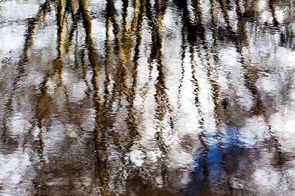 Winter Tree and White Cloud Reflections
