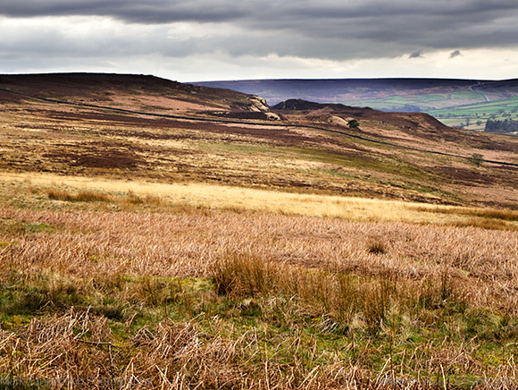 Clints Moor from Druids Plantation Ilton near Masham North Yorkshire England