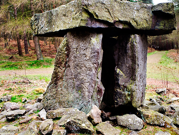 Standing Stone in Druids Plantation