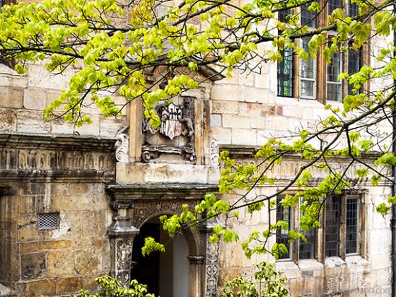 Spring Foliage and Doorway with Coat of Arms in the Courtyard at The Kings Manor, University of York, Exhibition Square, York