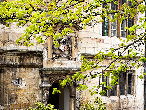 Spring Foliage and Doorway with Coat of Arms in the Courtyard at The Kings Manor, University of York, Exhibition Square, York