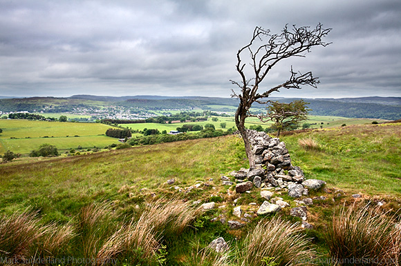 Lone Tree and Old Stone Wall in the Northumberland National Park Overlooking Rothbury Northumberland England