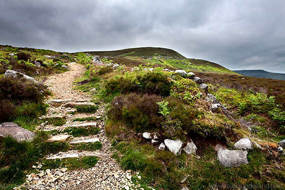 St Oswalds Way below The Beacon in the Simonside Hills near Rothbury Northumberland England