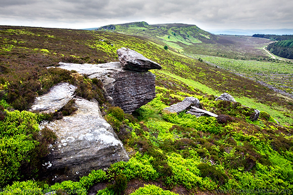Simonside from Dove Crag in the Simonside Hills near Rothbury Northumberland England