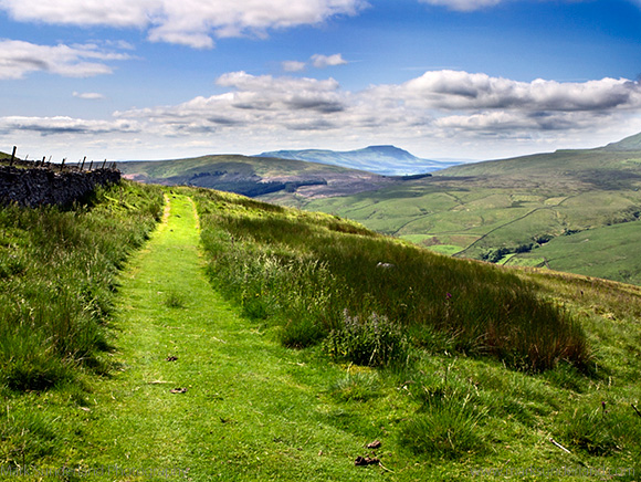 The Penine Bridleway below Great Knoutberry Hill with Ingleborough in the Distance Dentdale Yorkshire Dales Cumbria England