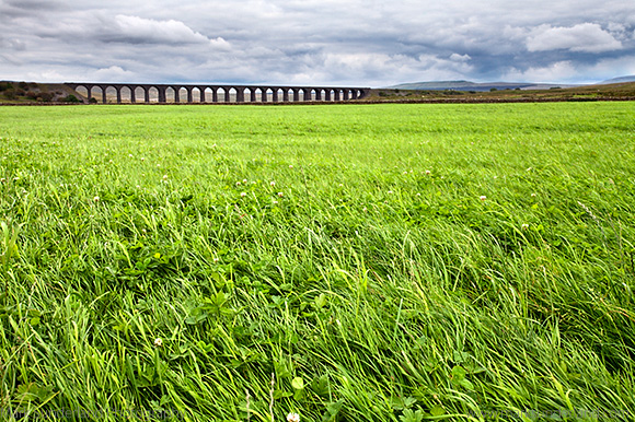 Ribblehead Viaduct across a Meadow