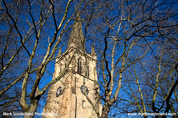 Wakefield Cathedral through Winter Trees