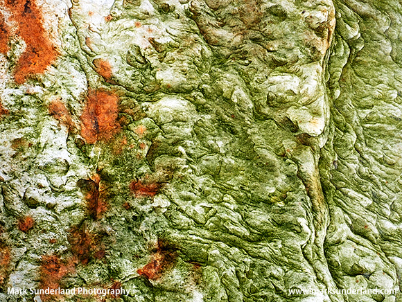 Rock Detail on Boulmer Beach