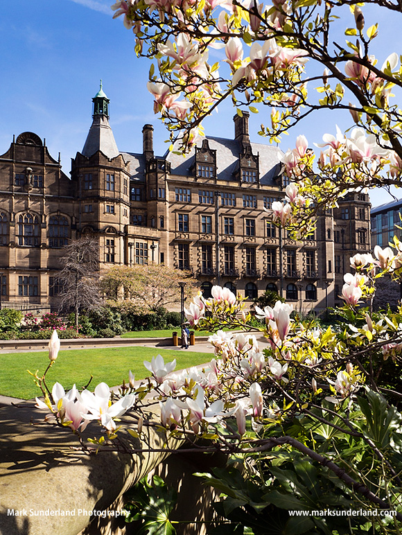 Peace Garden and Town Hall in spring Sheffield South Yorkshire England