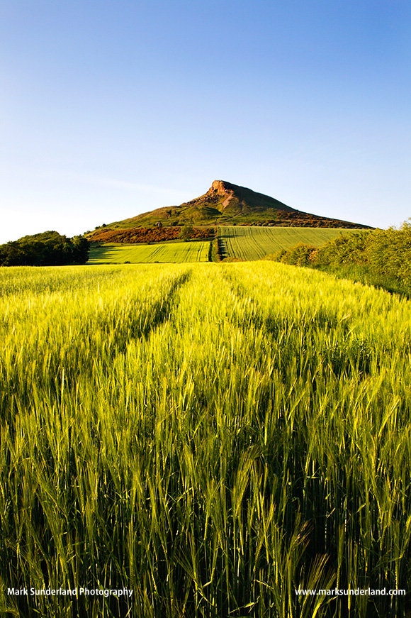 Roseberry Topping on a Summer Evening North York Moors Yorkshire England