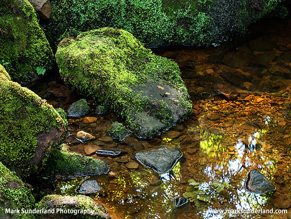 Hebers Ghyll near Ilkley