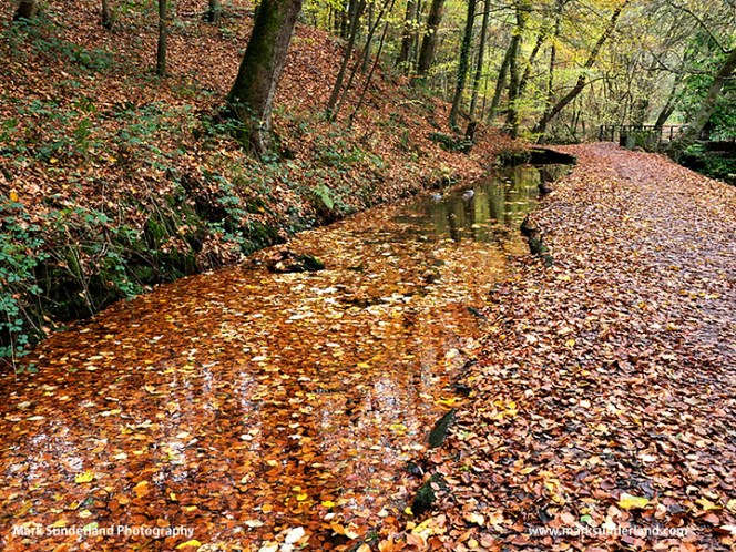 Skipton Woods in Autumn