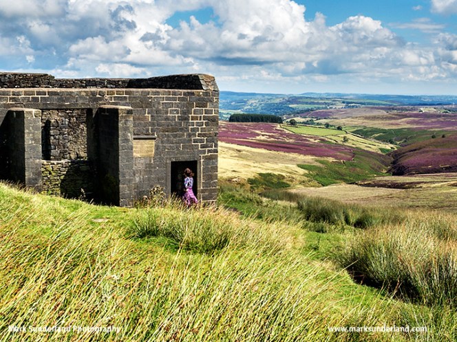 At Top Withins on Haworth Moor in Summer