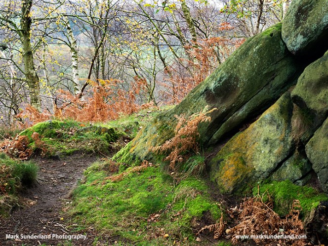 Gritstone Rocks at Birk Crag