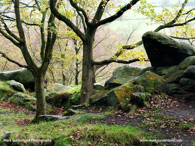 Gritstone Rocks at Birk Crag