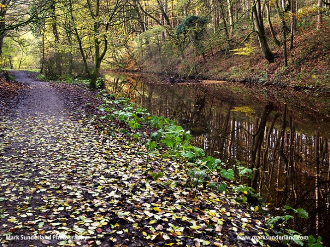 Skipton Castle Woods in Autumn