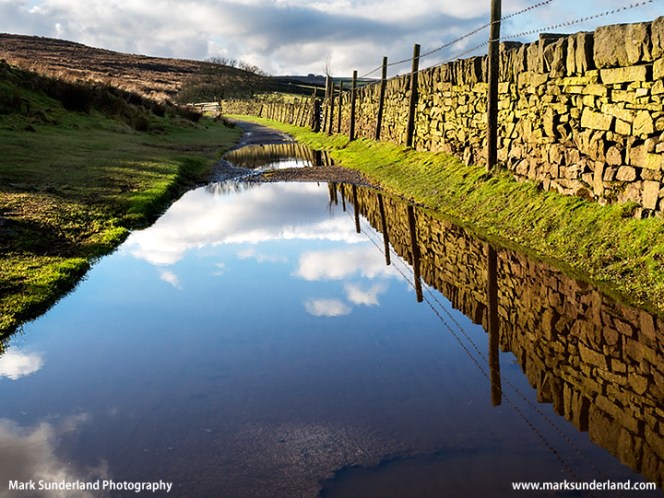 Puddles on the Bronte Way near Haworth