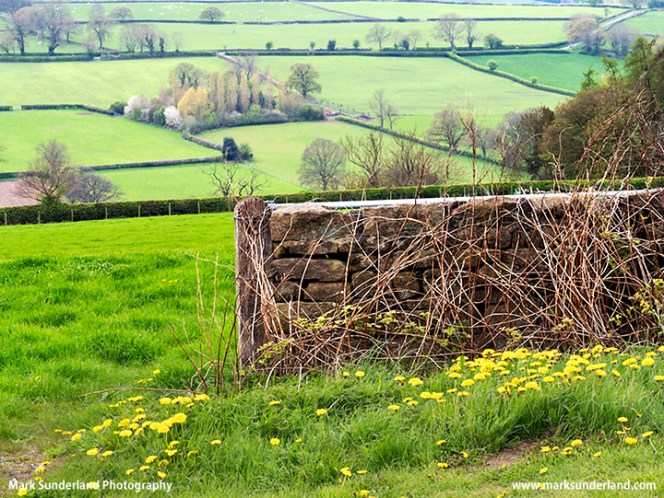 Nidderdale from Scarah Bank near Ripley