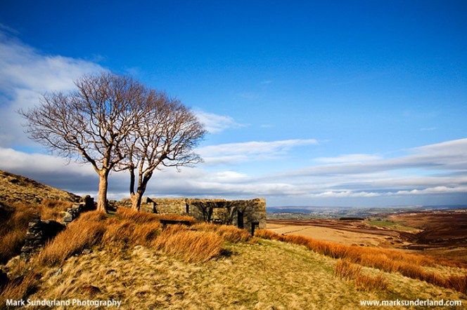 Top Withins on Haworth Moor