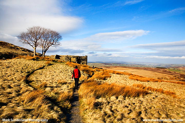 On Haworth Moor at Top Withins
