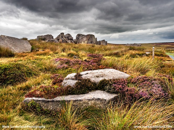 Boulders on Burley Moor