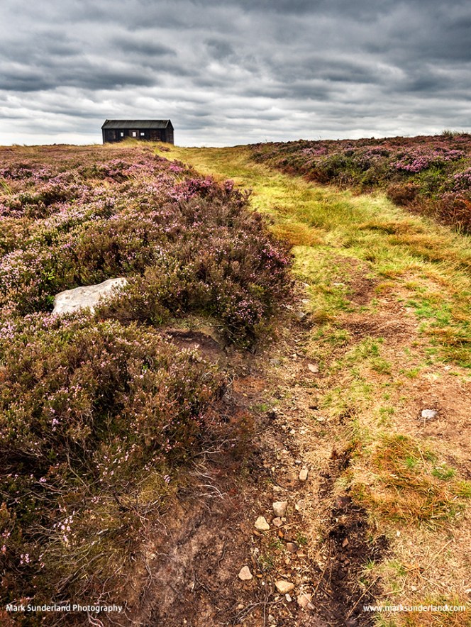 Shooting Hut on Burley Moor