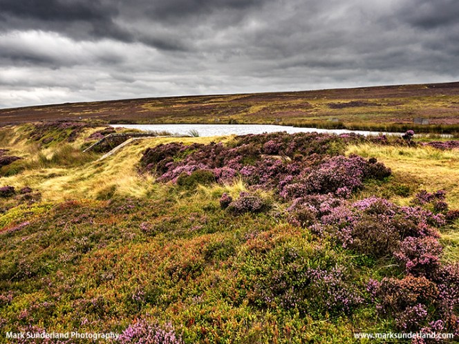 Lower Lanshaw Dam on Buley Moor