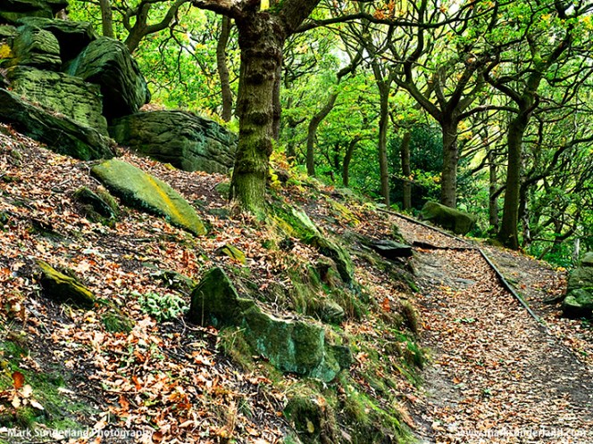 Shipley Glen in Early Autumn