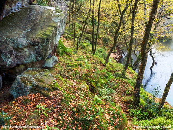 Gristone boulder and autumn birch trees by Guisecliff Tarn