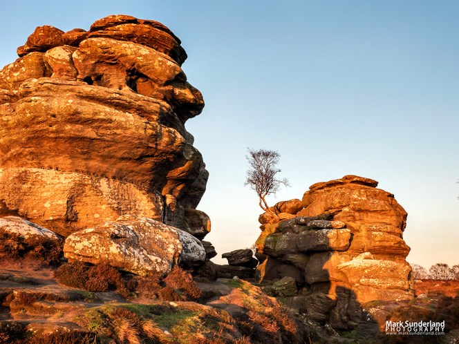 Gritstone rock formations lit by the setting sun at Brimham Rocks