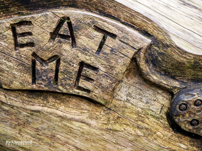 Eat Me Wood Carving Ripon